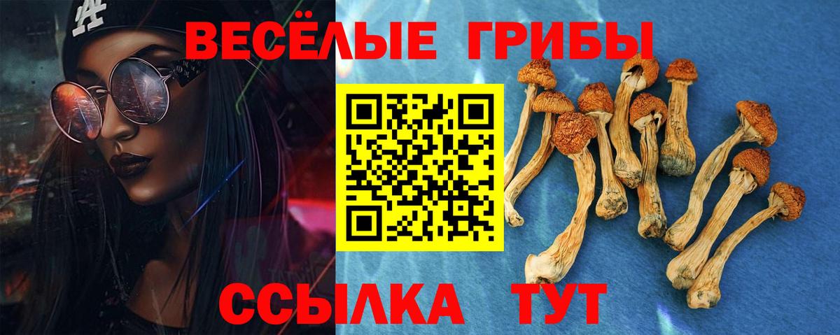 Псилоцибиновые грибы ЛСД Бийск