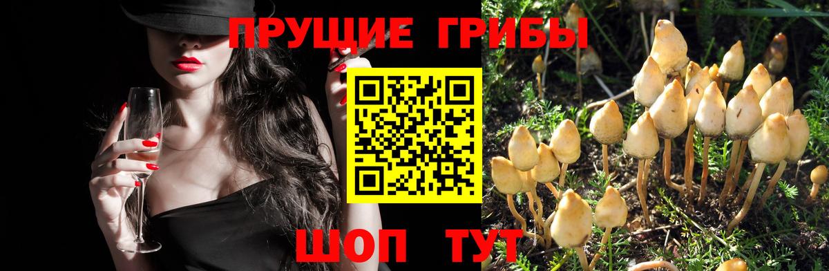 МДМА  МЕТ  Вход с VPN  Экстази  Мефедрон   Бийск  ГАШИШ  Бошки Шишки 